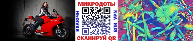 Псилоцибиновые грибы GOLDEN TEACHER  где купить наркотик  Тулун 